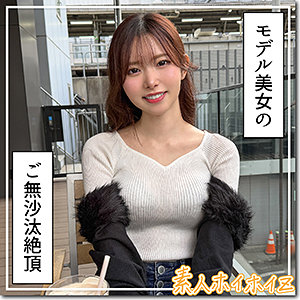 hoi411 パッケージ画像
